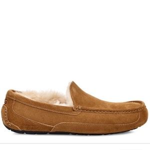 BNWT Ugg Ascot Slipper Moccasins in Chestnut sz 8